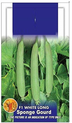 CYBEXIS XLL-86 - Non GMO Tori Sponge Gourd - (300 Seeds) Seed(300 per packet)