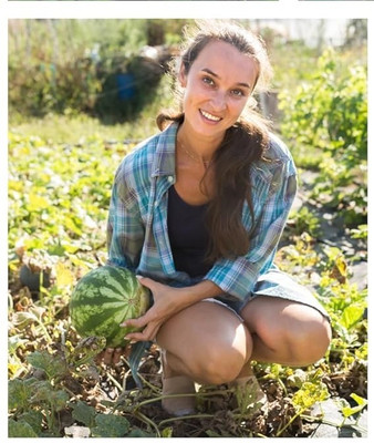 Biosnyg High Yield Sugar Baby Watermelon Seeds For Planting-(100 Seeds) Seed(100 per packet)