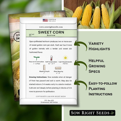 WILLVINE VMR -I Bantam Sweet Corn Seed-[25g] Seed(100 per packet)