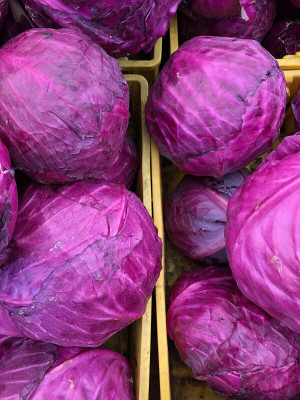 MYLAWN Cabbage Red Acre Giant Seed(100 per packet)
