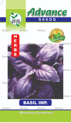 agri max gardens AGRIMAX GARDENS RUBY AROMA: RED BASIL ELIXIR RED BASIL SEEDS & PLANT Seed(30 per packet)