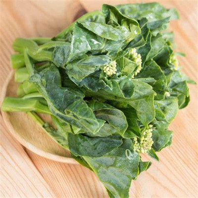 WILLVINE SCI -X Chinese Broccoli Seeds - Non-GMO [10g] Seed(3000 per packet)