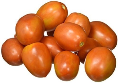 Quentova Organic Tomato Cherry-AHS-88H Seed(250 per packet)