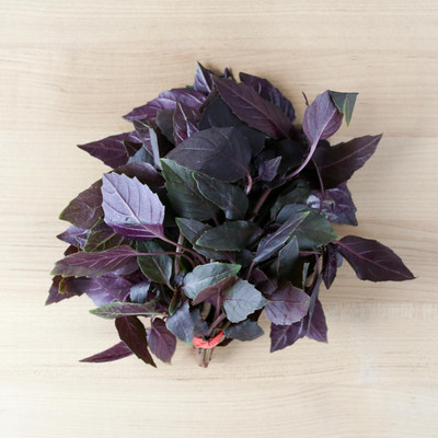 ONUS Purple Dark Opal Basil Seed(250 per packet)