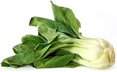 WILLVINE GBPUT -IX Canton Pak Choi Bok Choy Chinese Cabbage [50g] Seed(15000 per packet)
