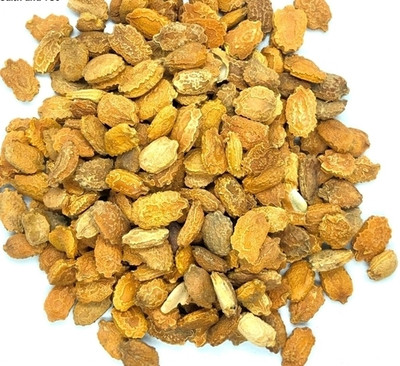 GREENSEA Bitter Gourd, Uchchhe, Karela Seed(66 per packet)