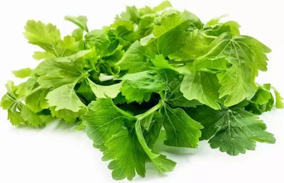 MAA Corinader, Dhania Seed(190 per packet)