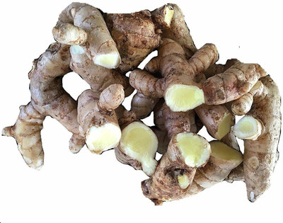 Kapebonavista Fresh Real Haldi White Turmeric 250g seeds Seed(1 per packet)