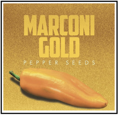 KNESSiN Fast Growing Golden Marconi Pepper Seeds For Planting-(300 Seeds) Seed(300 per packet)