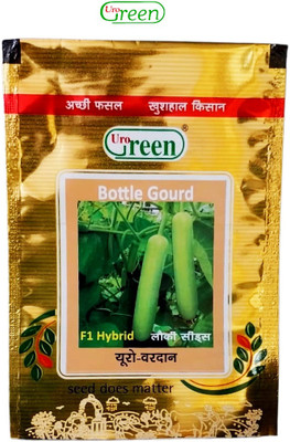 urogreen F 1 Hybrid Uro Vardan bottlegourd seeds Seed(10 g)