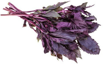 VibeX ® LXI-13 Basil 'Osmin Purple' (Ocimum basilicum) Seed(1000 per packet)