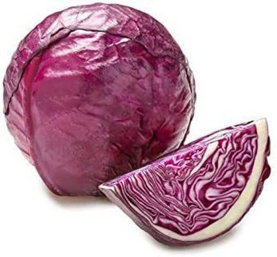 WILLVINE XLR-807 Red Purple Italian Cabbage Seed(200 per packet)