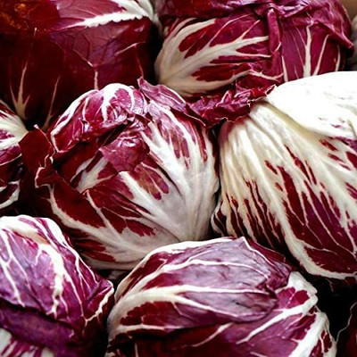 CYBEXIS Red Cabbage Seeds2000 Seeds Seed(2000 per packet)