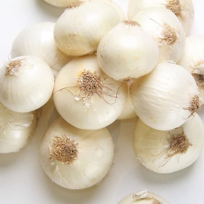 Qualtivate RES-3A White Onion Seeds Seed(500 per packet)