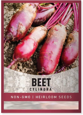 Biosnyg Beetroot Cylindra Seed(500 per packet)