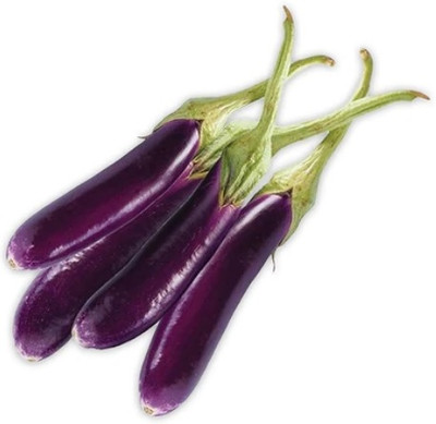 UGRA Brinjal Seed(250 per packet)