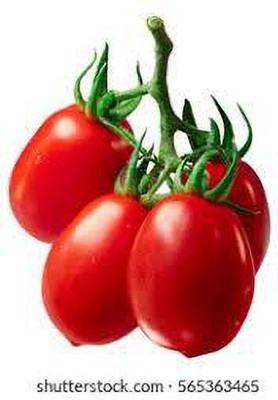 XOLDAA kashmiri hybrid tomato seeds Seed(110 per packet)
