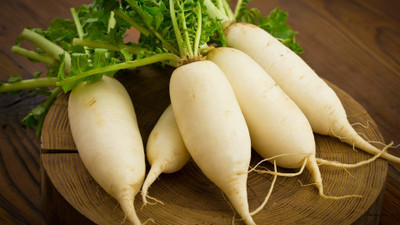 SeeGreen Hybrid Radish Seed – Mula Seeds,Perfect for Garden & Containers Seed(63 per packet)