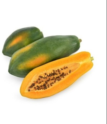 KLARKEE Organic Extra Large Papaya Seed Seed(100 per packet)