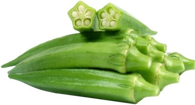 Quentova Okra Lady Finger /Green Okra Seeds-HUA-22G Seed(200 per packet)