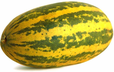 Cloud Farm Sambar Cucumber [500 Seeds] Seed(500 per packet)
