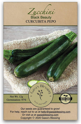 CYBEXIS PUAS-60 - Black Beauty Zucchini - (675 Seeds) Seed(675 per packet)