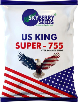 SKYBERRY SEEDS US KING SUPER 755 - HYBRID MAIZE SEEDS, SKYBERRY CORN Seed(4 kg)