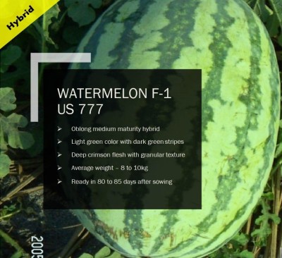VibeX WATERMELON F-1 PUAS-777 SEEDS(1000 Seeds) Seed(1000 per packet)