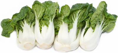 WILLVINE KGF -IV Chinese Cabbage - Pak Choi - Extra Dwarf [1g] Seed(300 per packet)