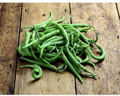 Farmonix Green Chilli Seed(1500 per packet)
