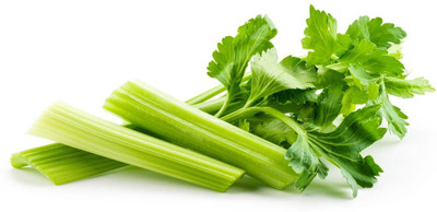 ENTENT Celery Seeds Herb Non-GMO, Open Pollinated Seed(50 per packet)