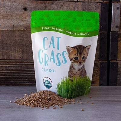 VibeX TLX-7 - Cat Grass Hard Red Winter Wheat - (22500 Seeds) Seed(22500 per packet)
