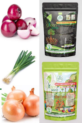 WILLVINE KGF -1321 ONION RED,BRUNCHING ONION,ONION GAVRAN Seeds With Manure-3000 Seeds Seed(3000 per packet)