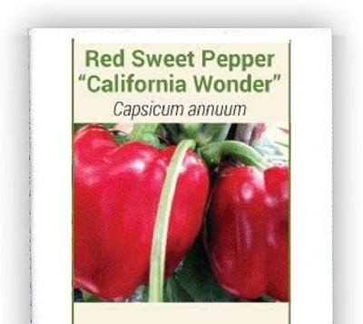 CYBEXIS F1 Hybrid California Wonder Red Capsicum Seeds600 Seeds Seed(600 per packet)
