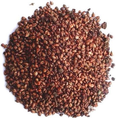 BHARAT JADI BOOTI Grape Seeds (Edible) - Grapes Seeds - Angoor Beej - Angur Beej - Vitis Vinifera Seed(100 g)