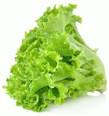 Aywal Round Lettuce Iceberg Vegetable Seed(375 per packet)