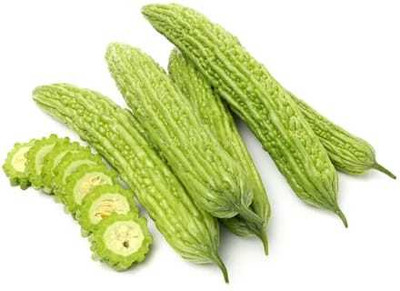 Paudhaa F1 BEST QUALITY BITTER GOURD SEEDS Seed(30 per packet)