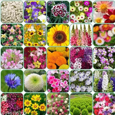 amkdseeds 25 variety combo flower seeds for home garden, summer,winter & spring all seasion Seed(25 per packet)