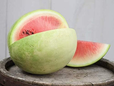 KNESSiN Non GMO Snow White Watermelon Seeds for Home Gardening-(100 Seeds) Seed(100 per packet)