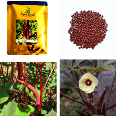 U-GROW INDIA CRIMSON ELEGANCE THE OKRA-RED-101-F1-HYBRID-LATIKA SEEDS & PLANT Seed(50 g)