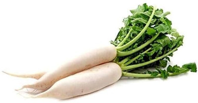 LPR MULI ,WHITE RADISH Seed(100 per packet)