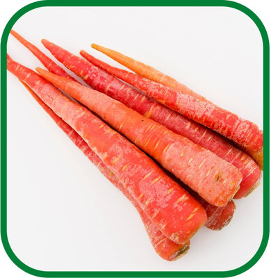Aywal Carrot Gajar Seed For Planting For Home And Gardening Seed(750 per packet)