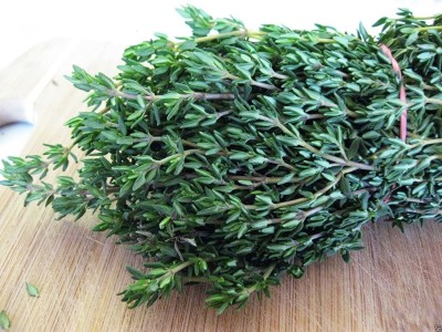 VibeX PUAS-43 - Thyme Herb - (450 Seeds) Seed(450 per packet)