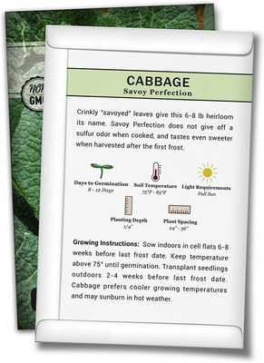 WILLVINE ® Savoy Perfection Cabbage Seeds Seed(5000 per packet)