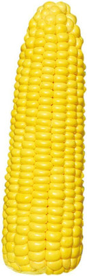 KNESSiN Pineapple Corn Seed(200 per packet)