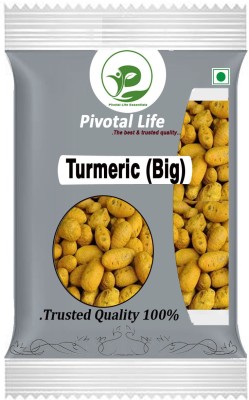 Pivotal Life Turmeric Seed(500 g)