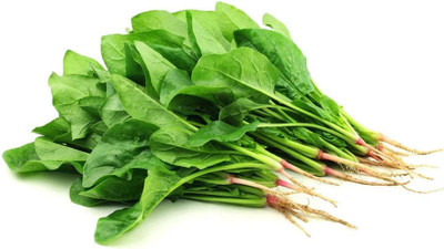 CYBEXIS Hybrid Spinach Seeds1000 Seeds Seed(1000 per packet)