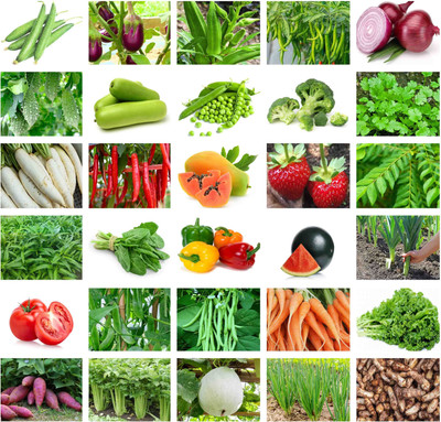 the green dotcom Hybrid Summer Vegetable Seeds Combo Pack Seed(3500 per packet)