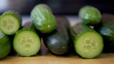 Avysa Organic Excelsior F1 Cucumber Seeds-CuC_1526 Seed(500 per packet)