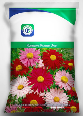CYBEXIS Daisy Mix Flower Seed Seed(50 per packet)